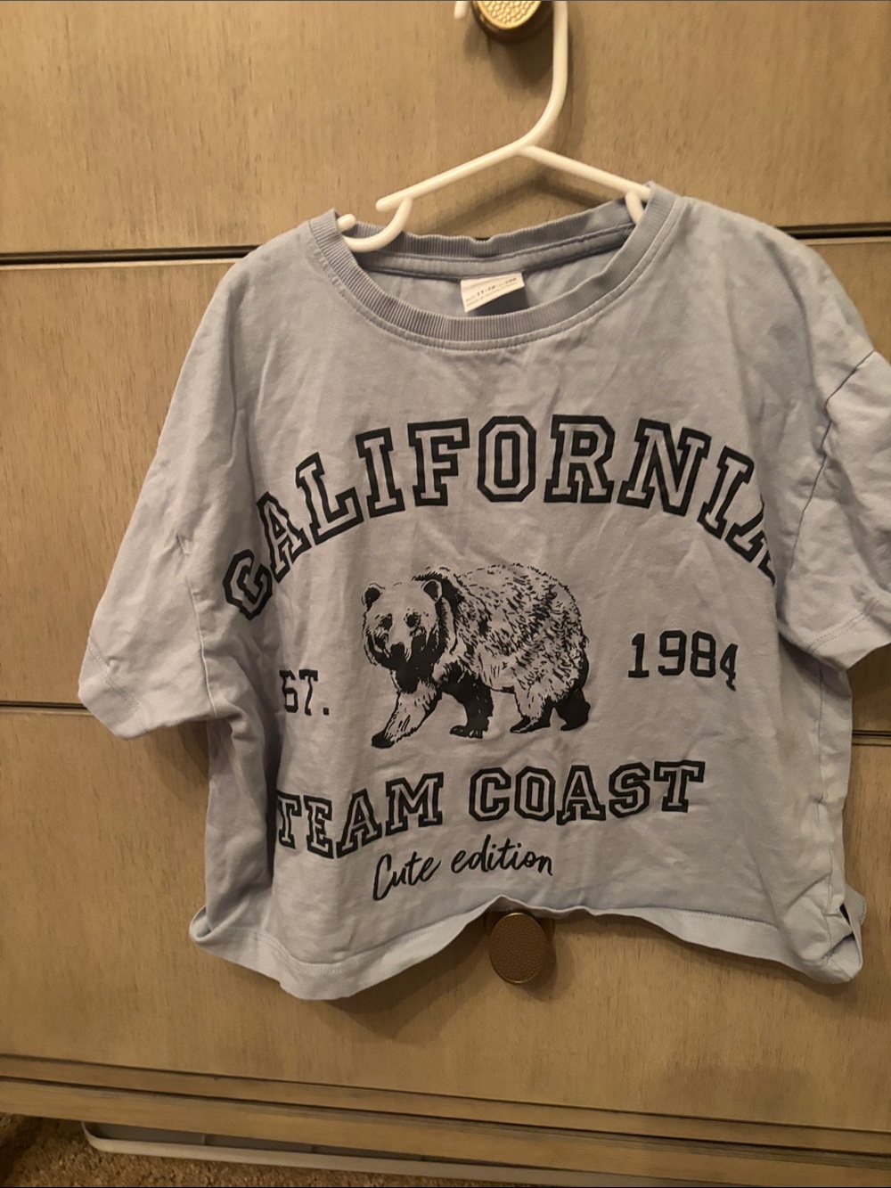Zara Kids Light Blue California Bear Graphic Cropped Tee 11-12